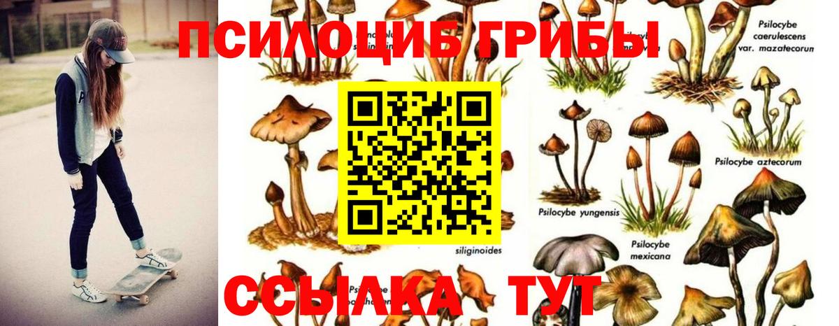 Галлюциногенные грибы прущие грибы  Вход с VPN  Татарск 